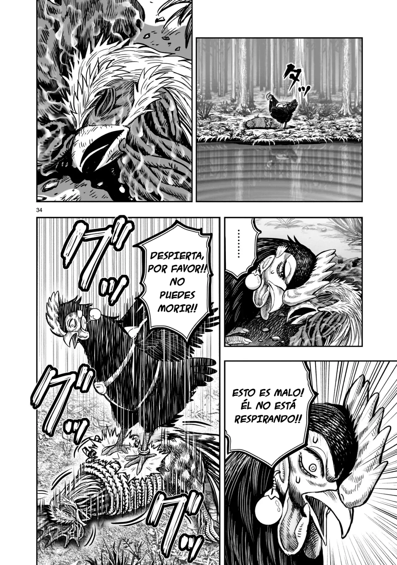 Rooster Fighter capítulo 29, página 38