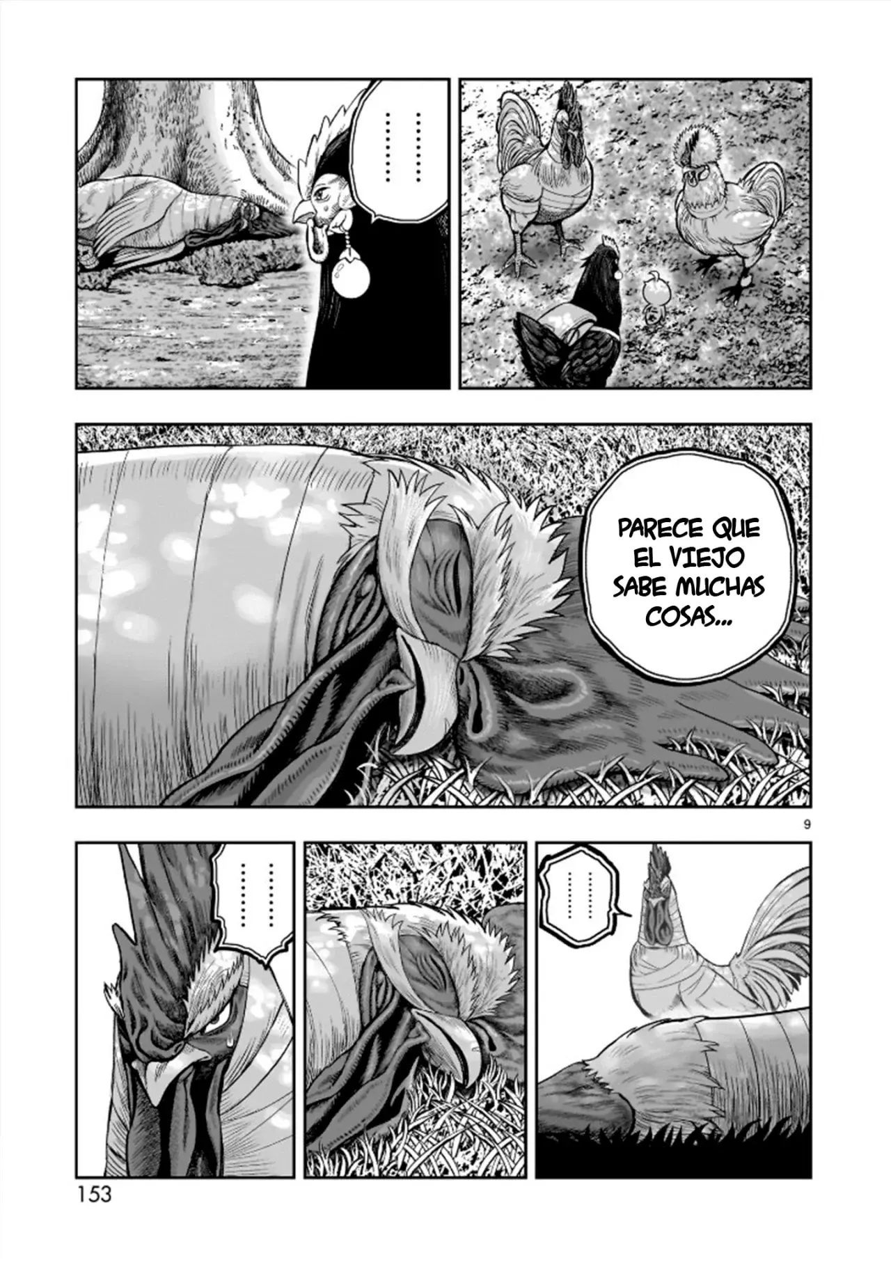 Rooster Fighter capítulo 31, página 13