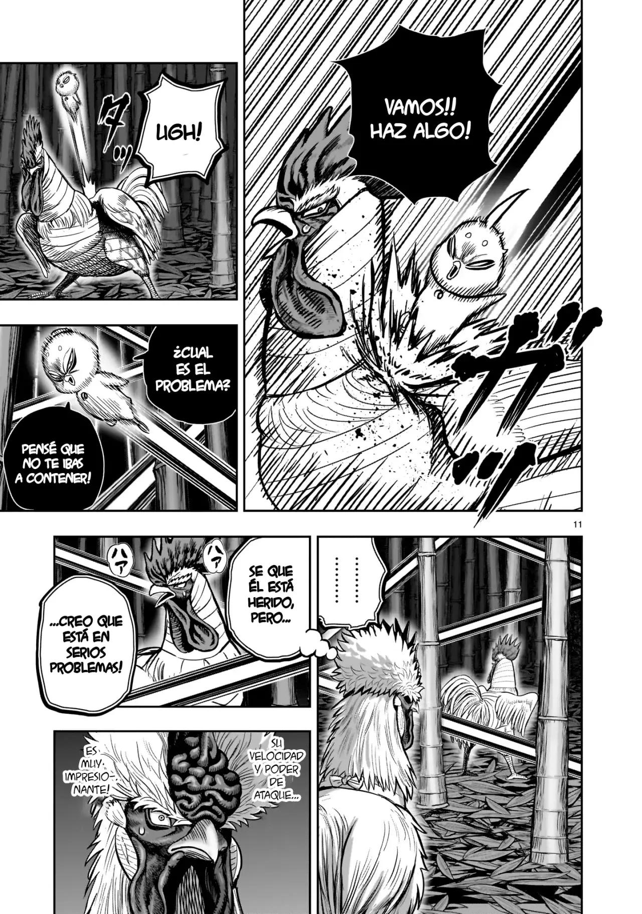 Rooster Fighter capítulo 33, página 14