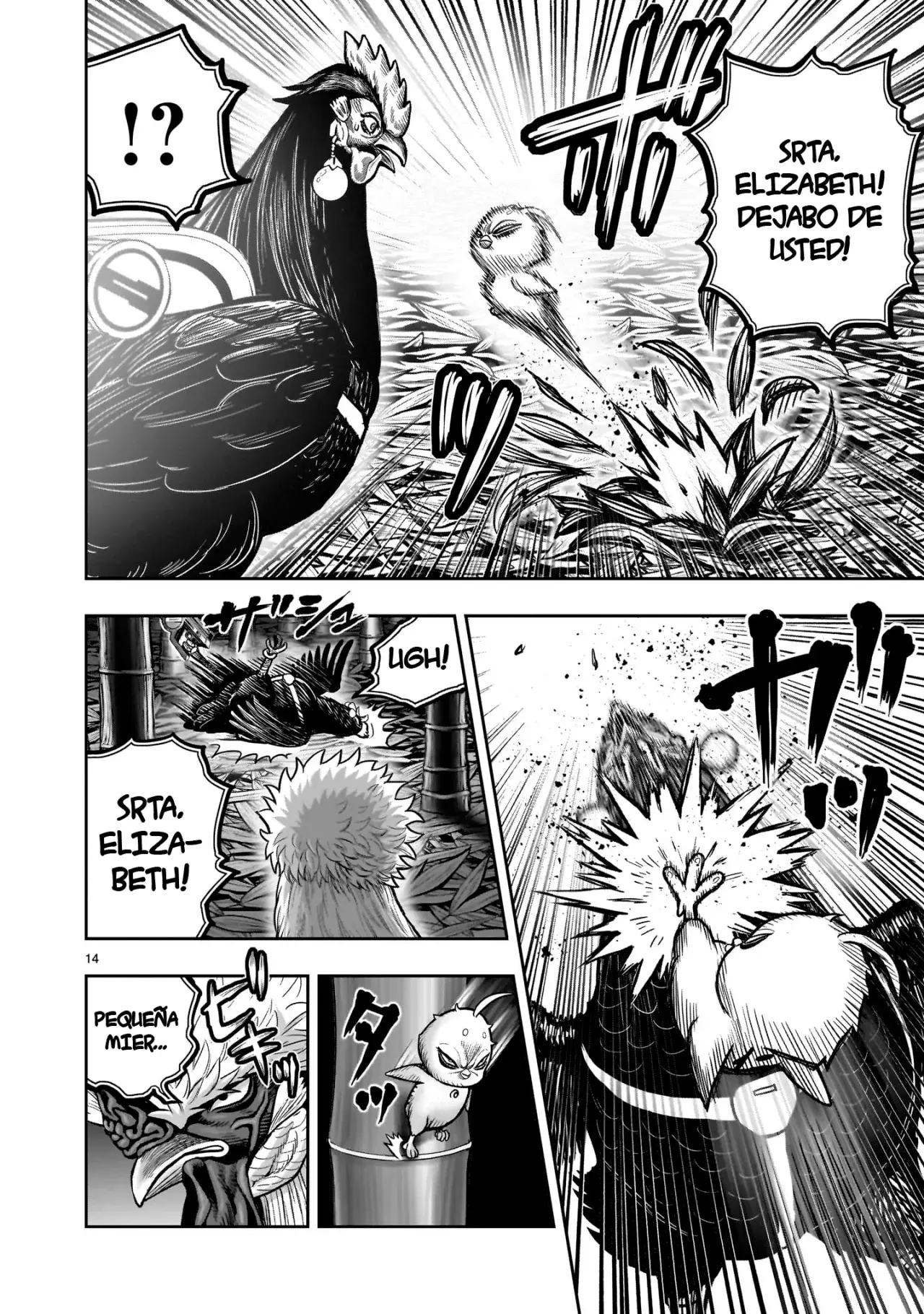 Rooster Fighter capítulo 33, página 17