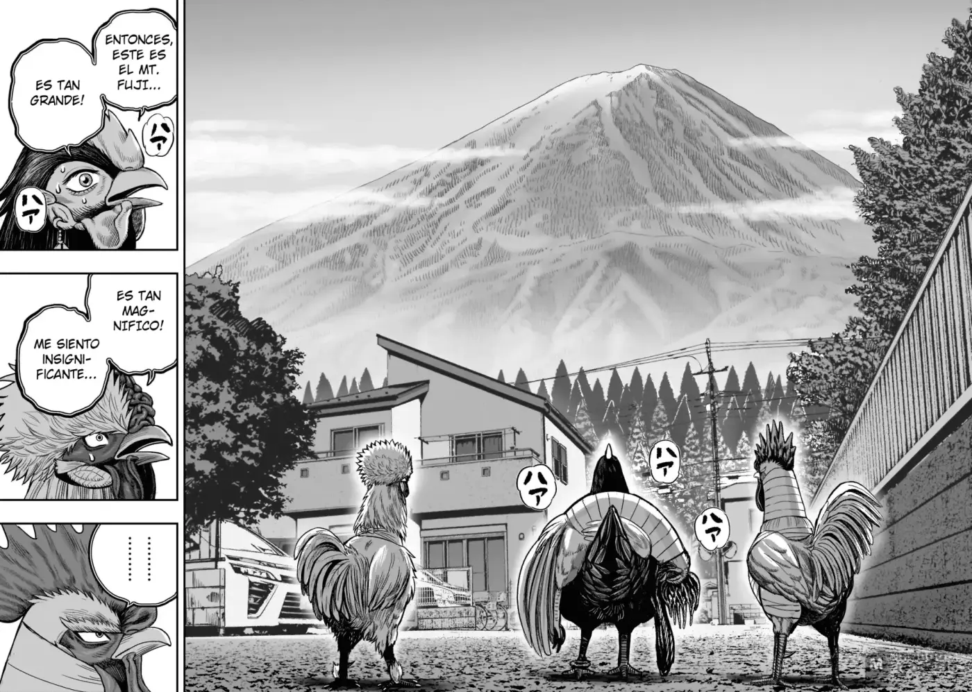 Rooster Fighter capítulo 36, página 20