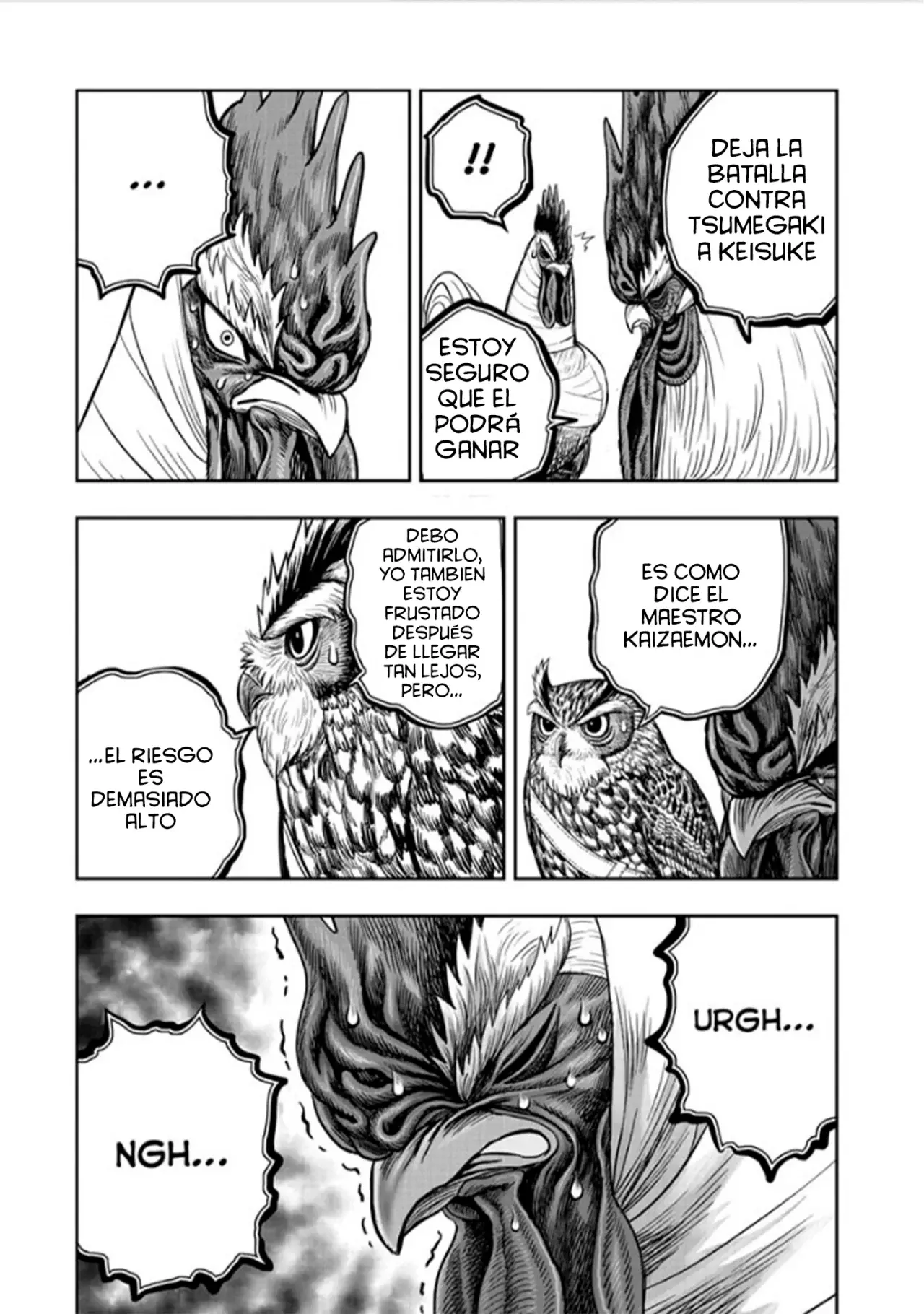 Rooster Fighter capítulo 48, página 36