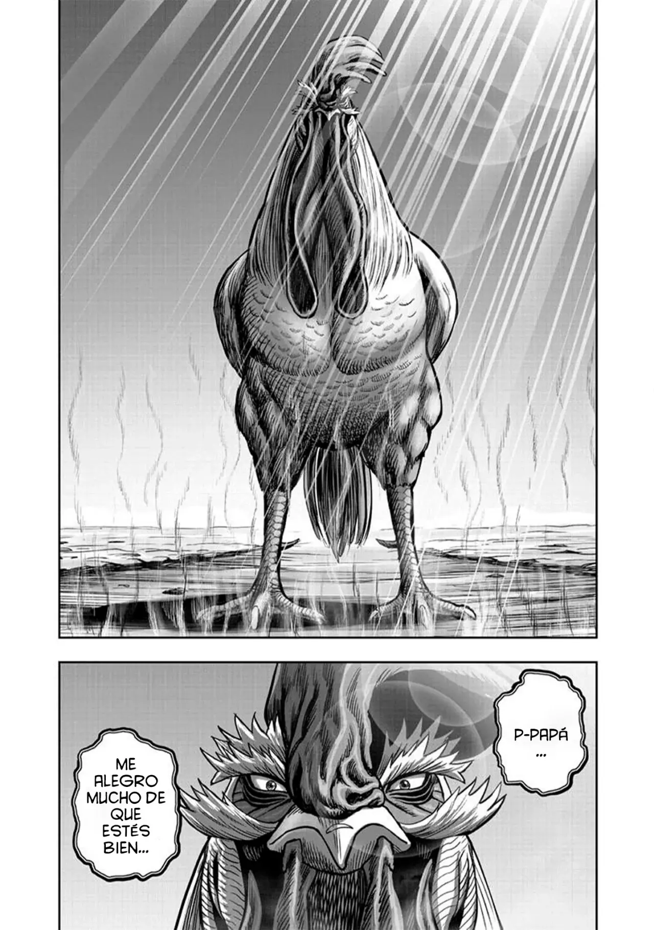Rooster Fighter capítulo 50, página 36