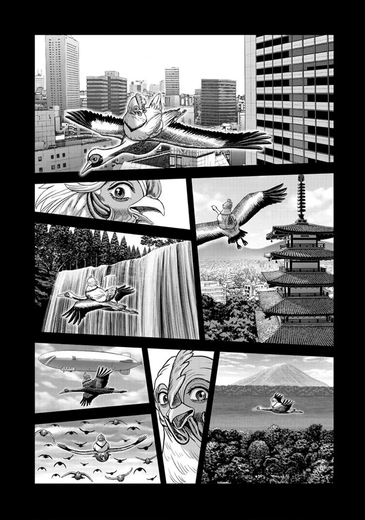 Rooster Fighter capítulo 51, página 42