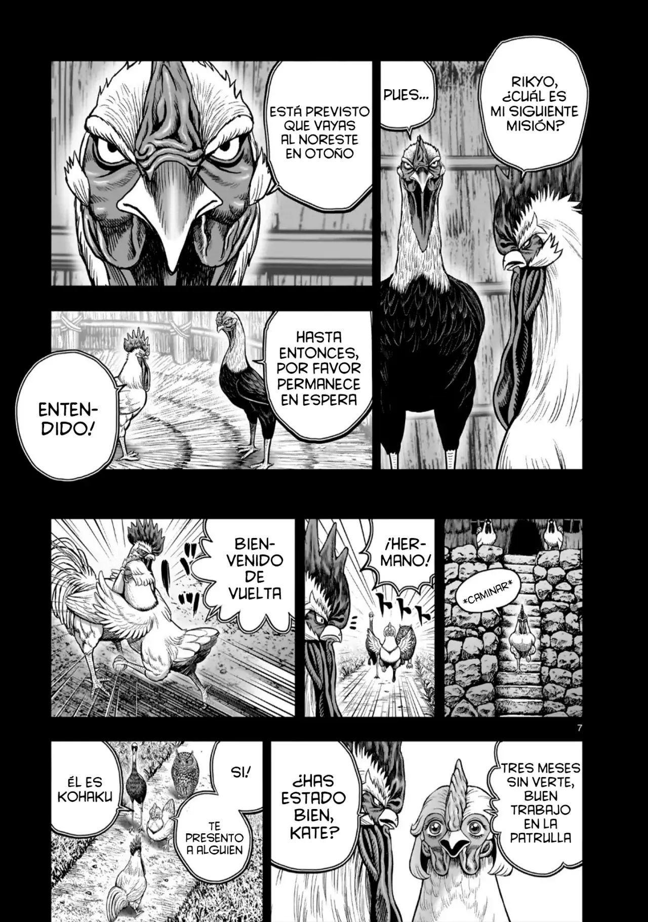 Rooster Fighter capítulo 52, página 11