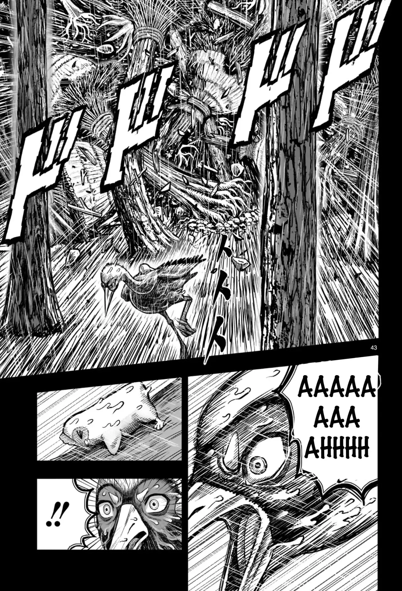 Rooster Fighter capítulo 53, página 47