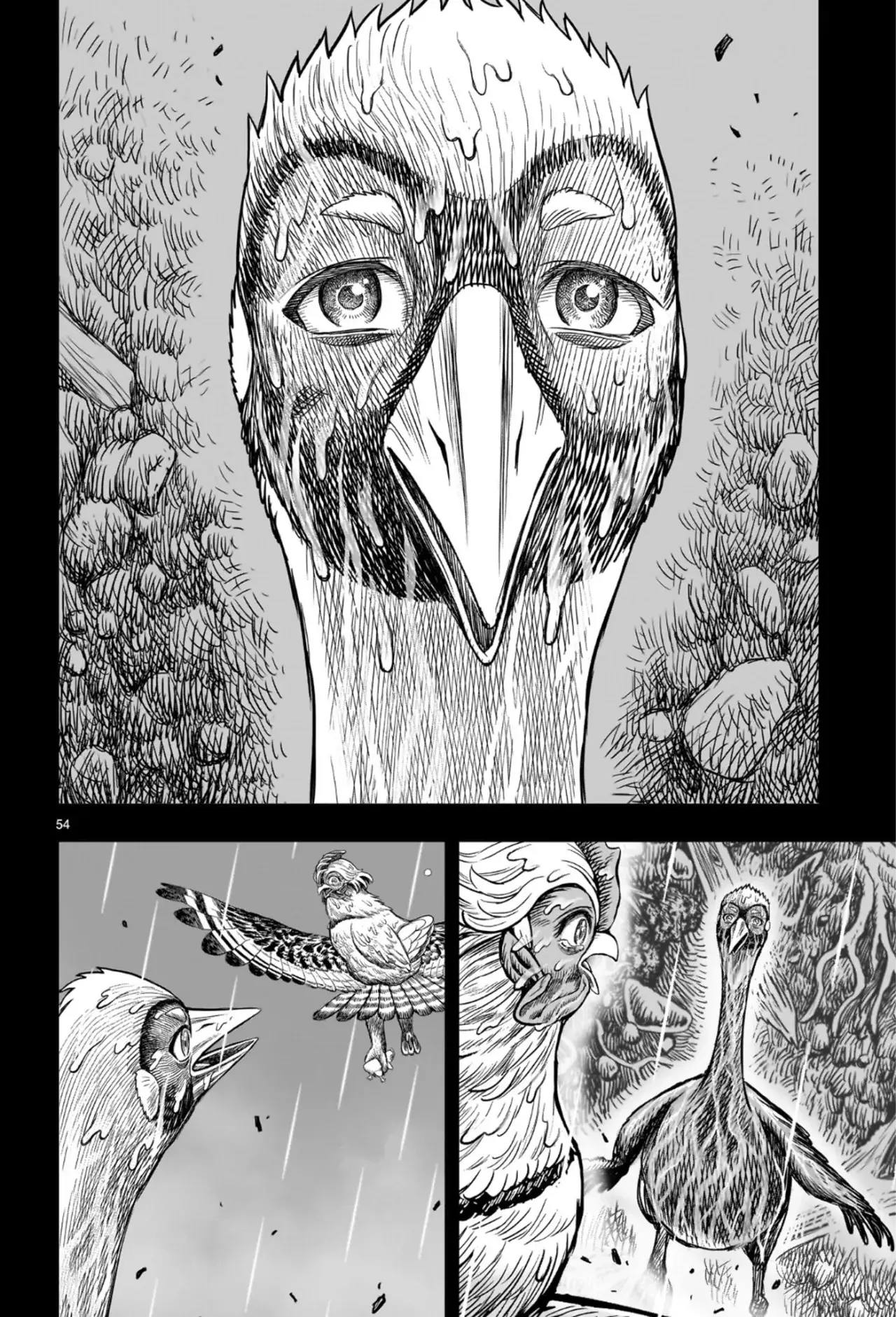 Rooster Fighter capítulo 53, página 58