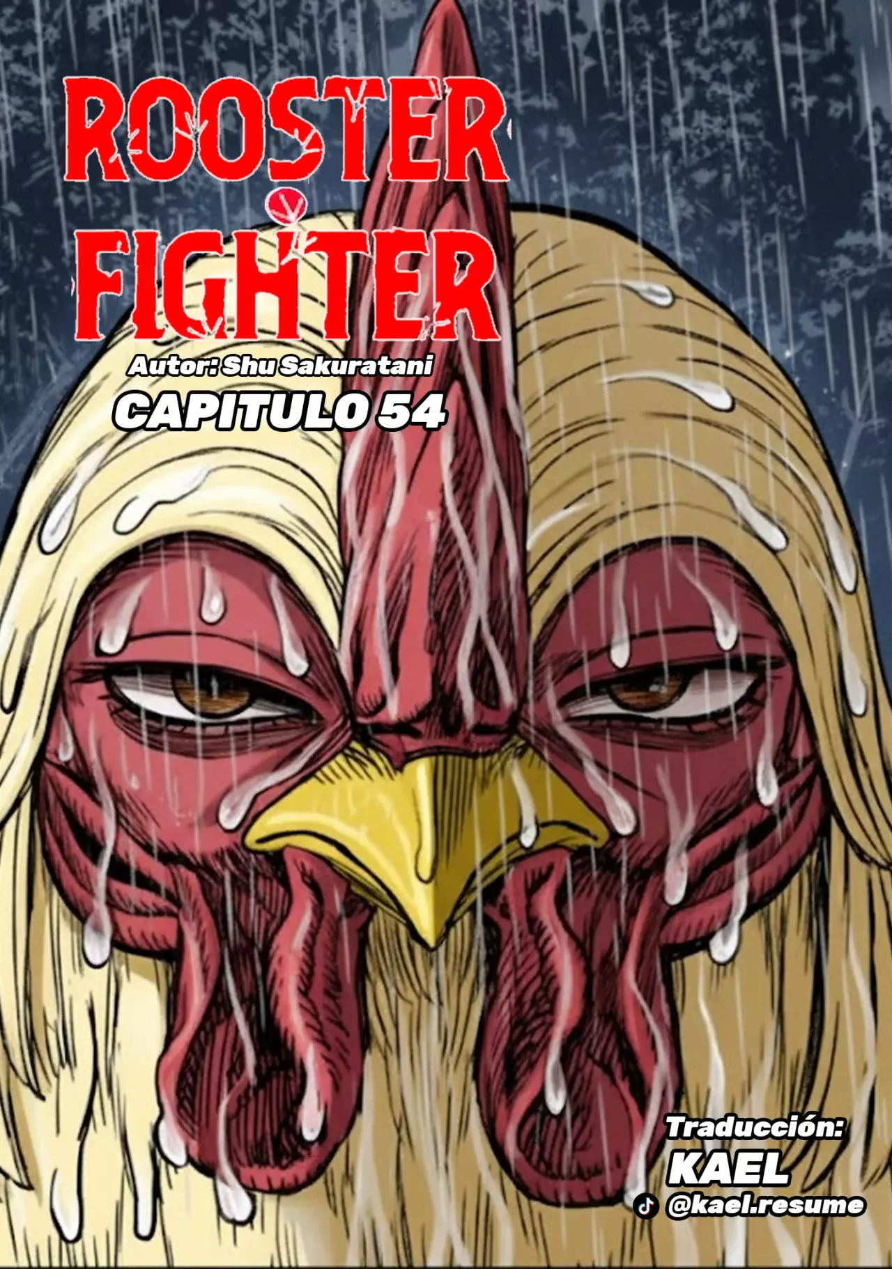 Rooster Fighter capítulo 54, página 4