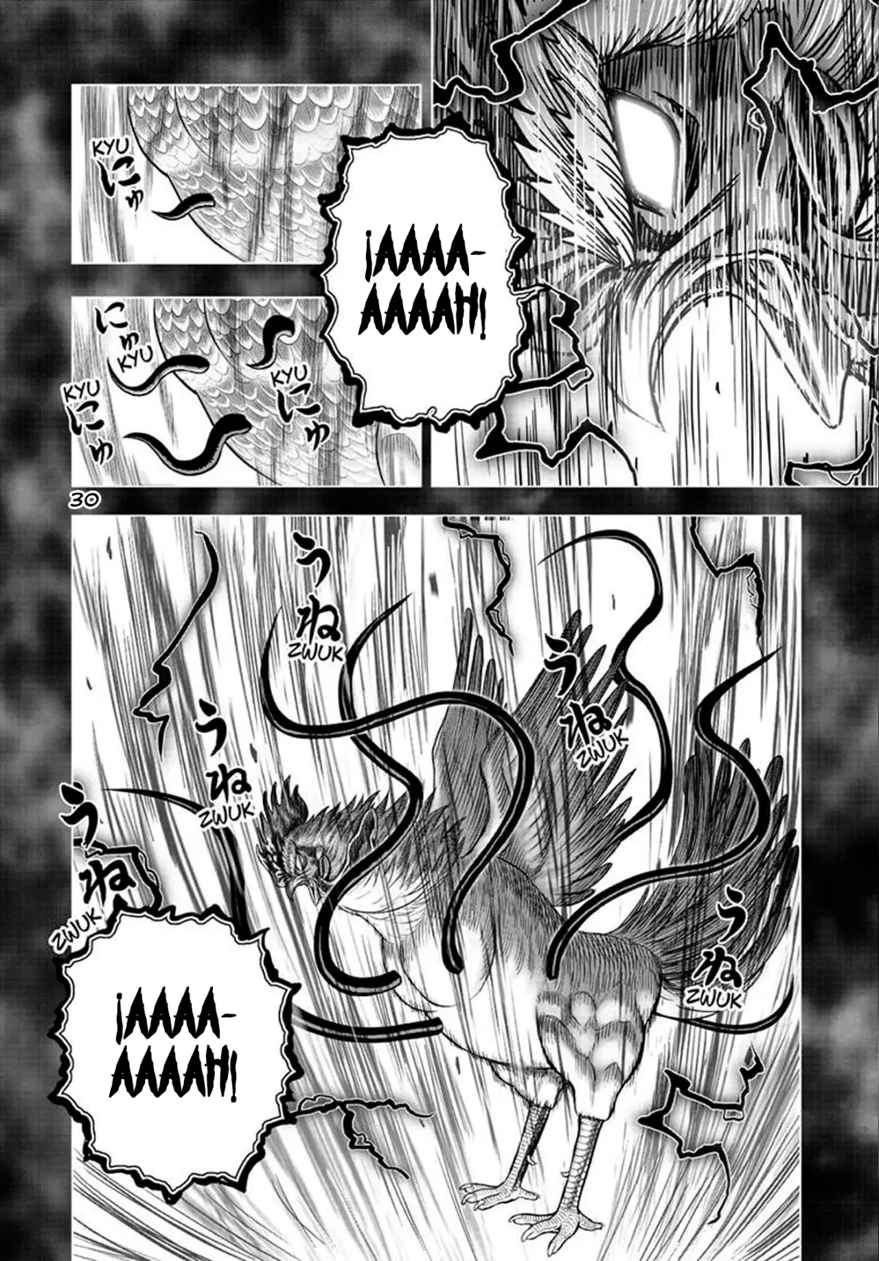 Rooster Fighter capítulo 56, página 34
