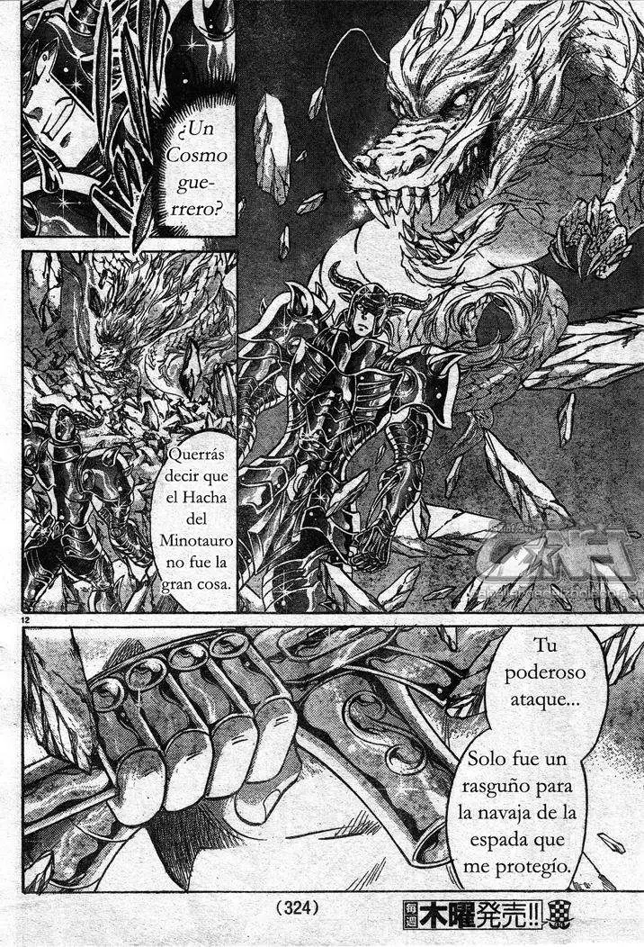 Saint Seiya: The Lost Canvas capítulo 147, página 10