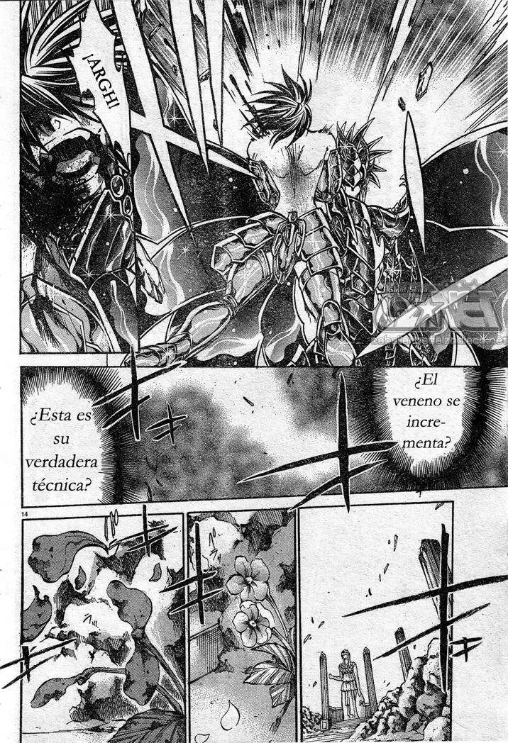 Saint Seiya: The Lost Canvas capítulo 149, página 14