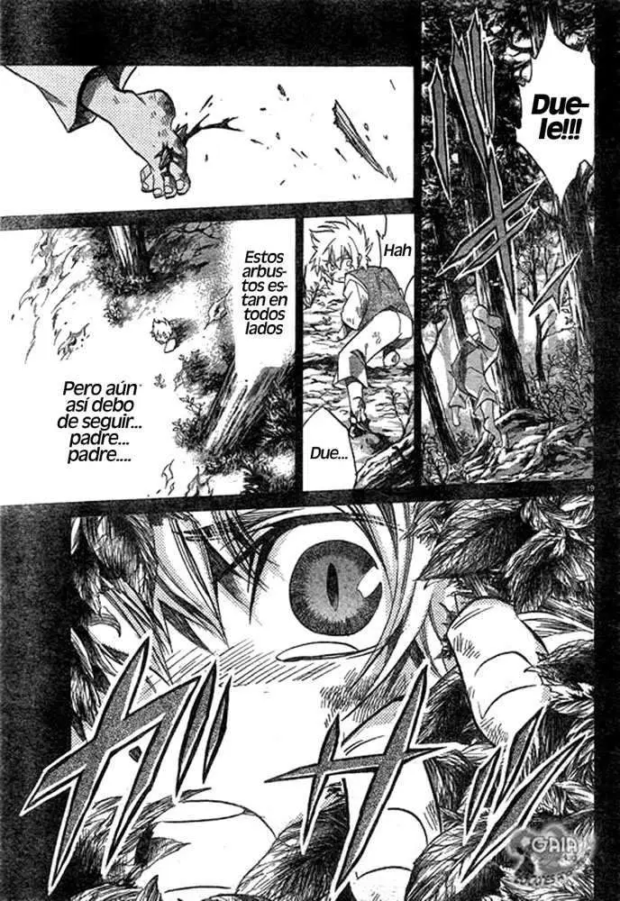 Saint Seiya: The Lost Canvas capítulo 196, página 17