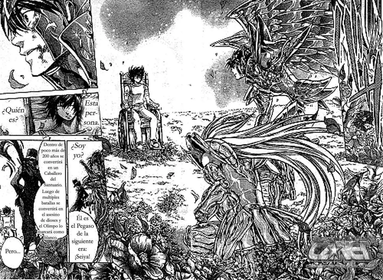 Saint Seiya: The Lost Canvas capítulo 206, página 9