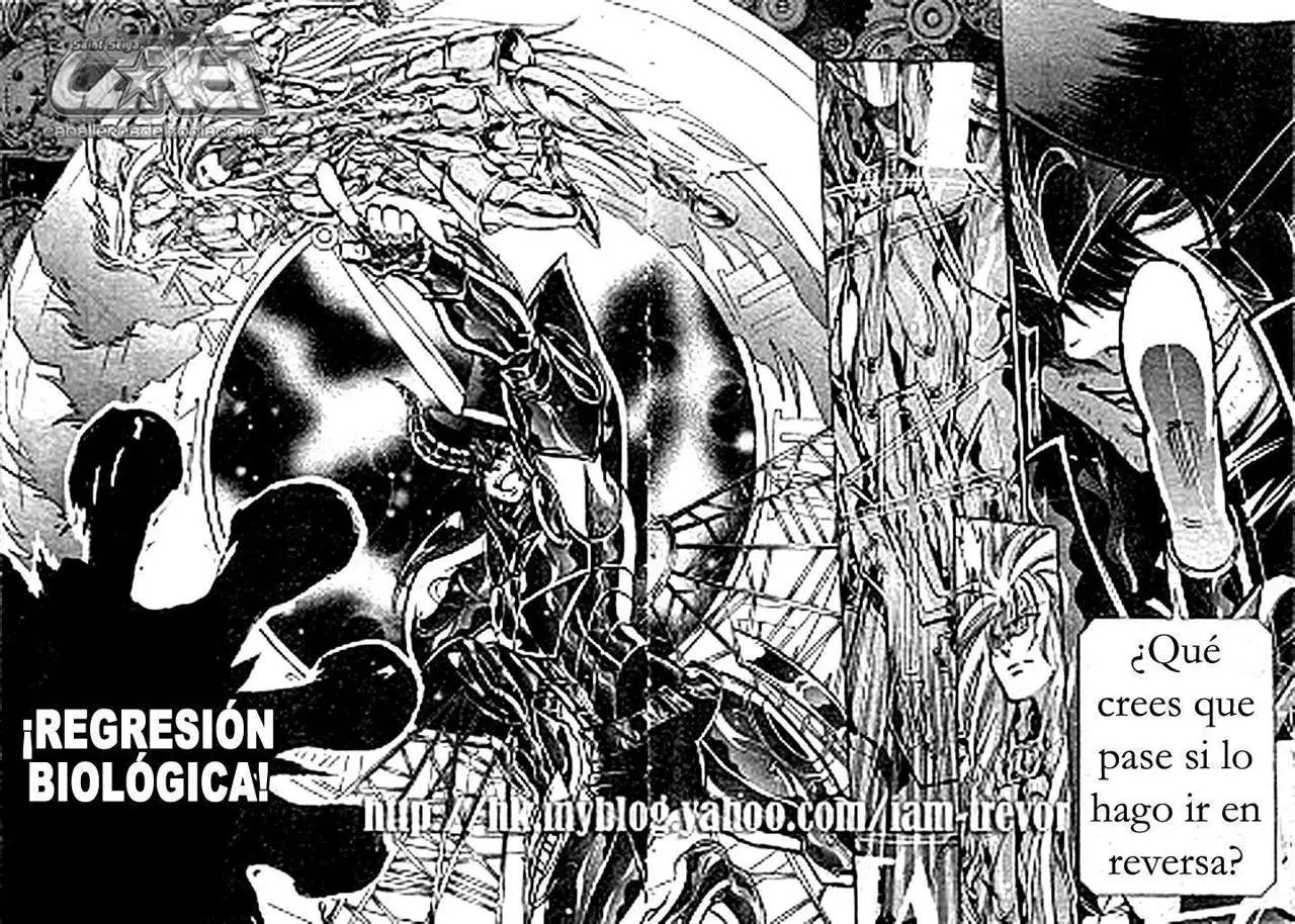 Saint Seiya: The Lost Canvas capítulo 208, página 7