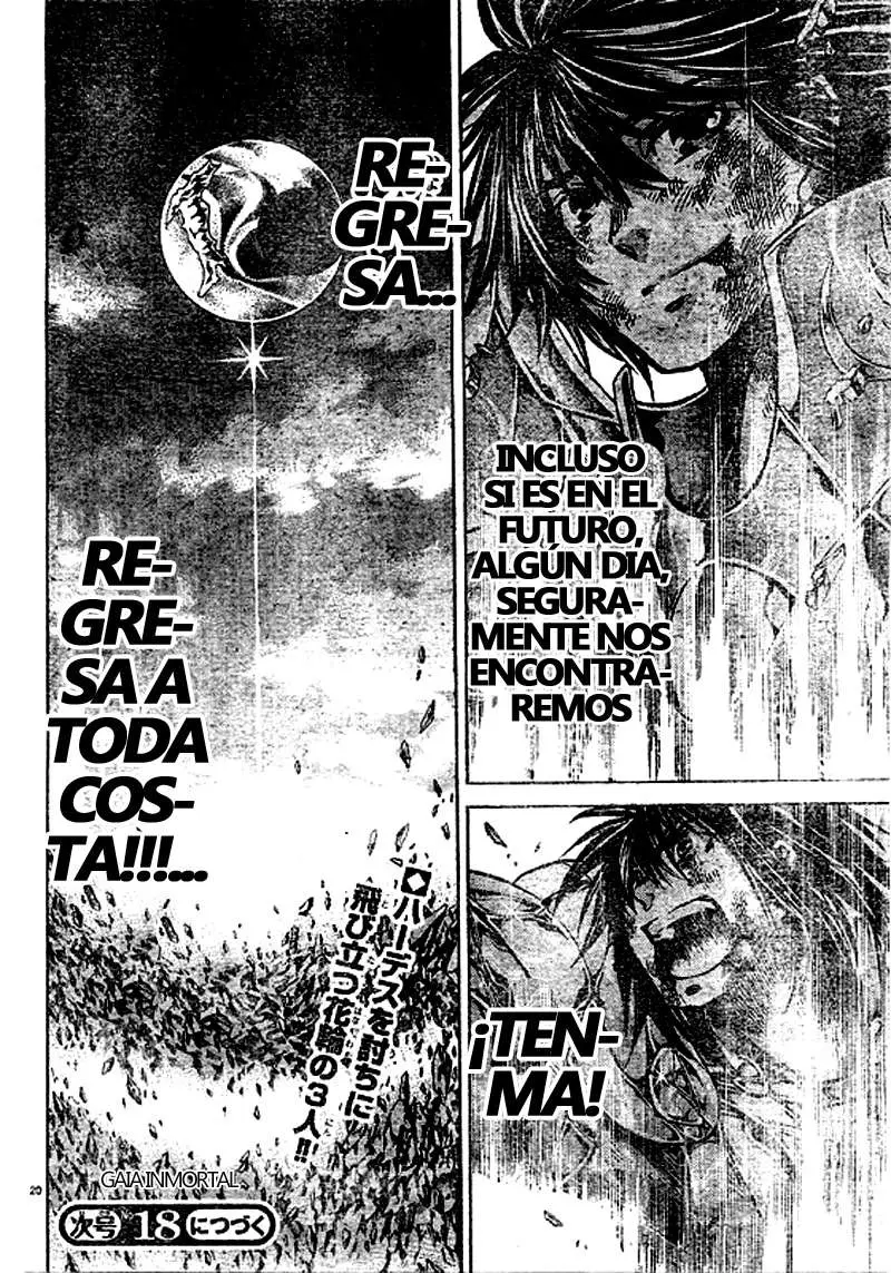 Saint Seiya: The Lost Canvas capítulo 221, página 18