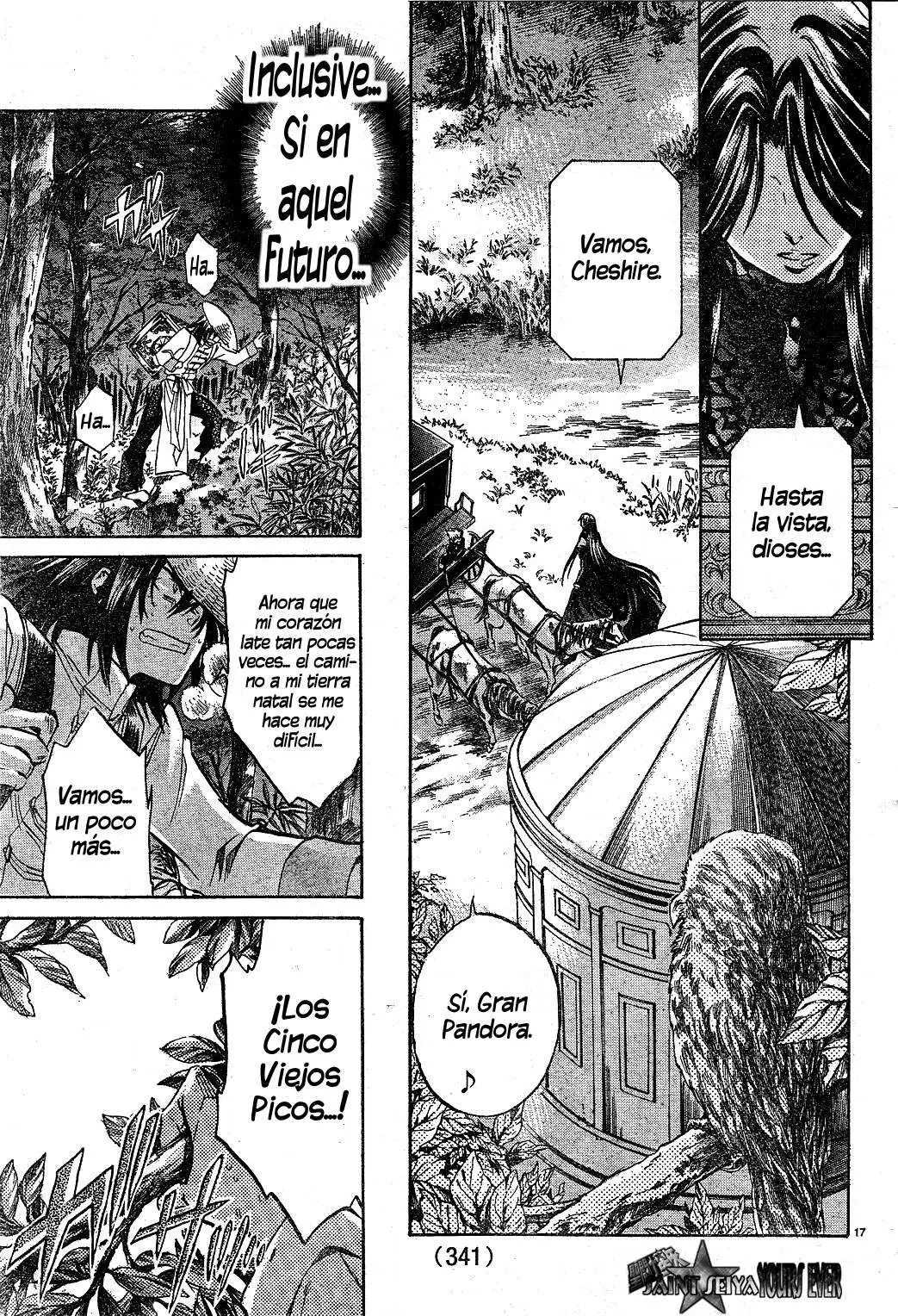 Saint Seiya: The Lost Canvas capítulo 223, página 16