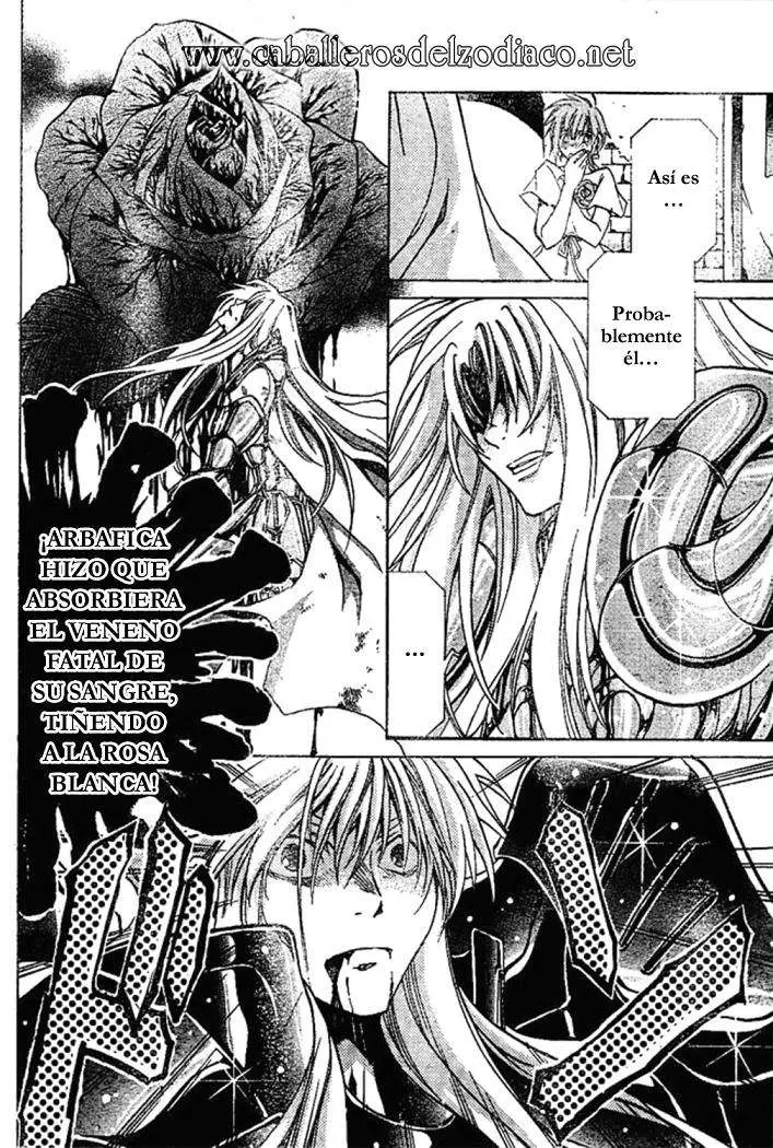 Saint Seiya: The Lost Canvas capítulo 23, página 12