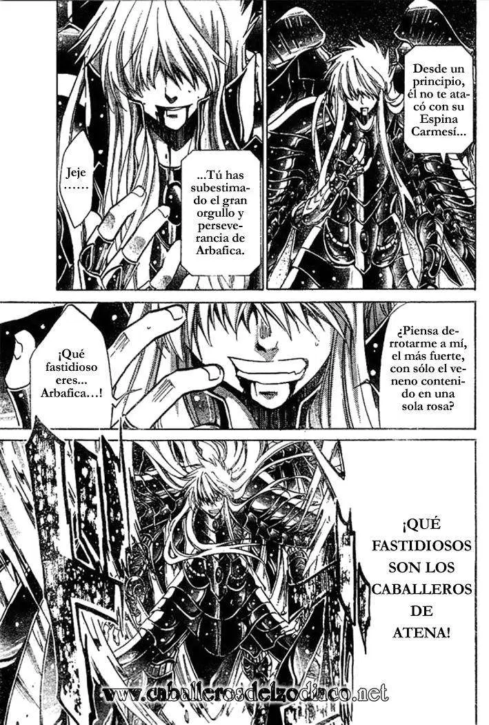 Saint Seiya: The Lost Canvas capítulo 23, página 13