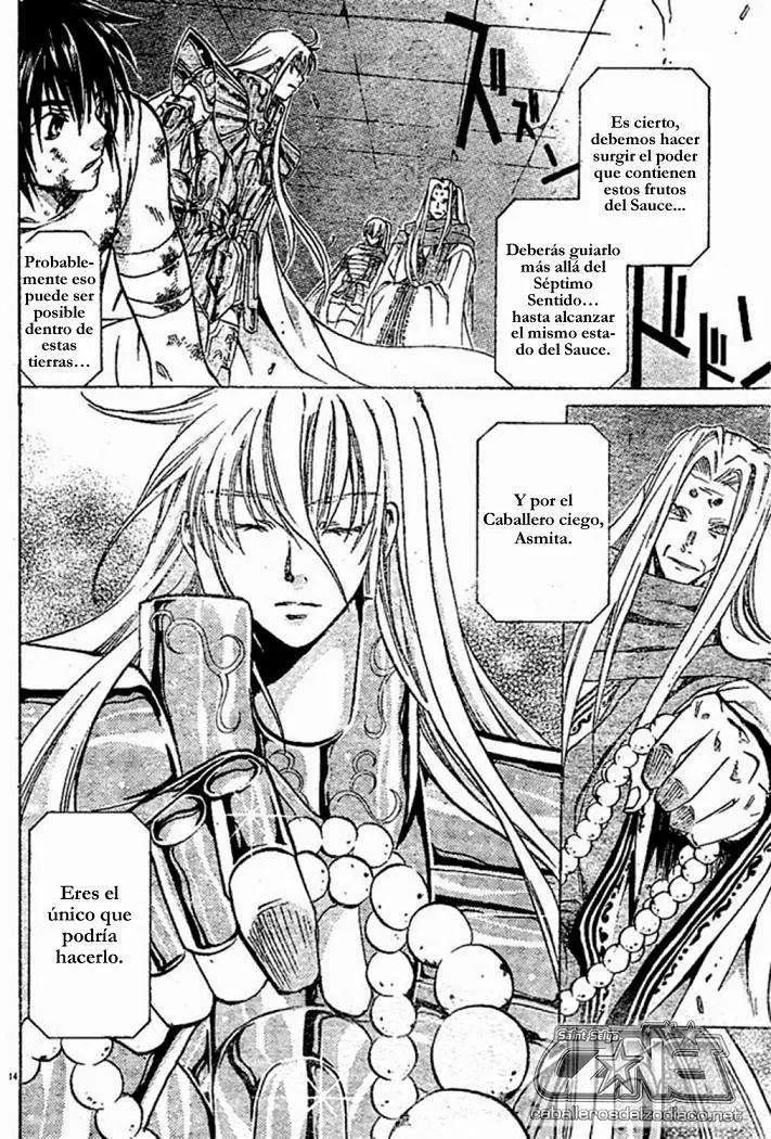 Saint Seiya: The Lost Canvas capítulo 32, página 14