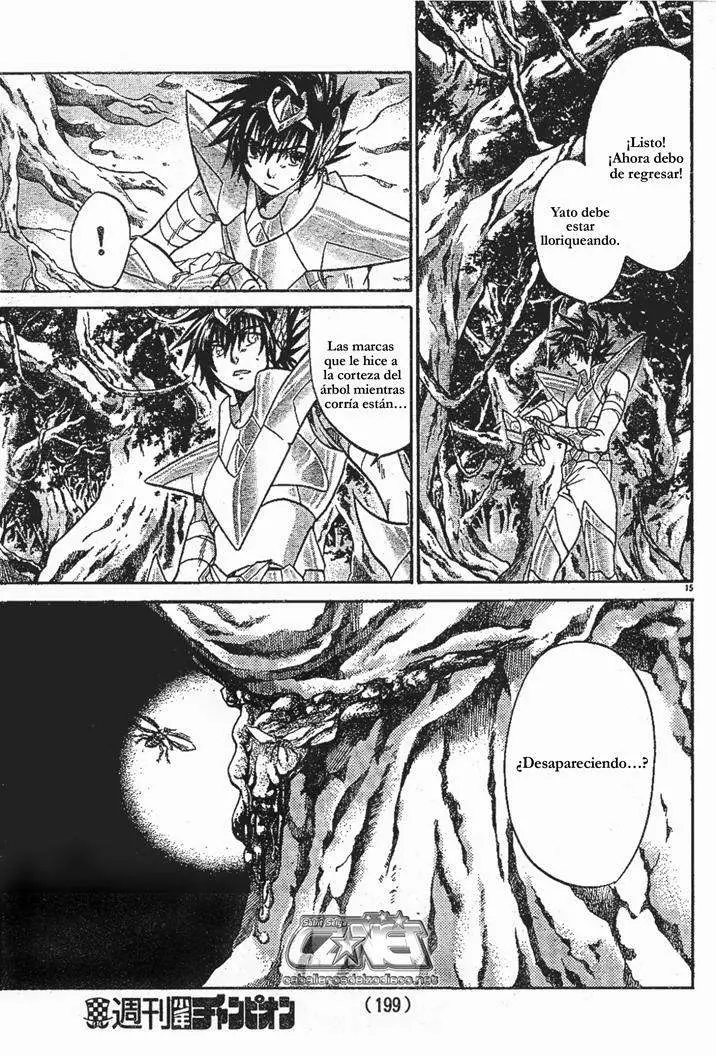 Saint Seiya: The Lost Canvas capítulo 56, página 14