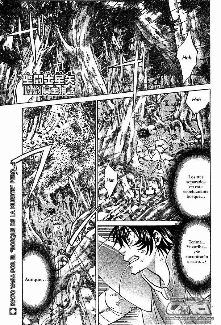 Saint Seiya: The Lost Canvas capítulo 58, página 1