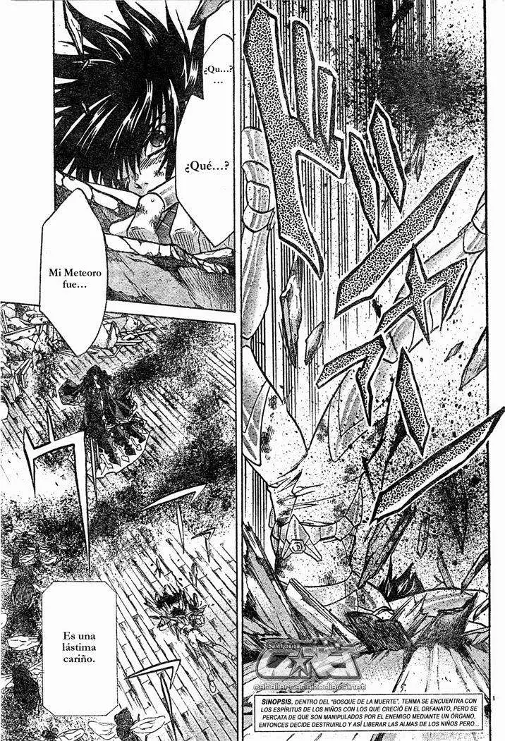 Saint Seiya: The Lost Canvas capítulo 60, página 3