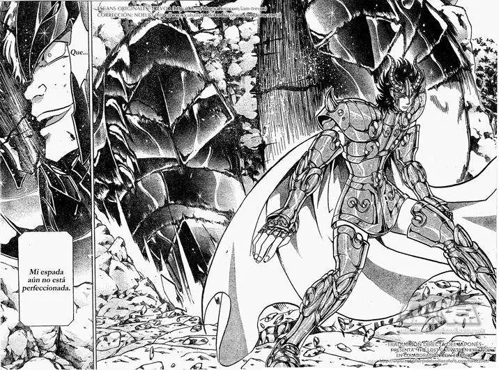 Saint Seiya: The Lost Canvas capítulo 71, página 10