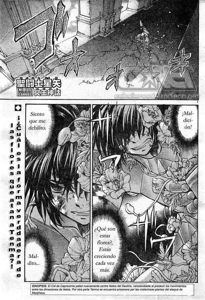 Saint Seiya: The Lost Canvas capítulo 78, página 1