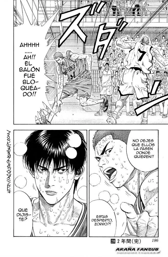 Slam Dunk capítulo 251, página 17