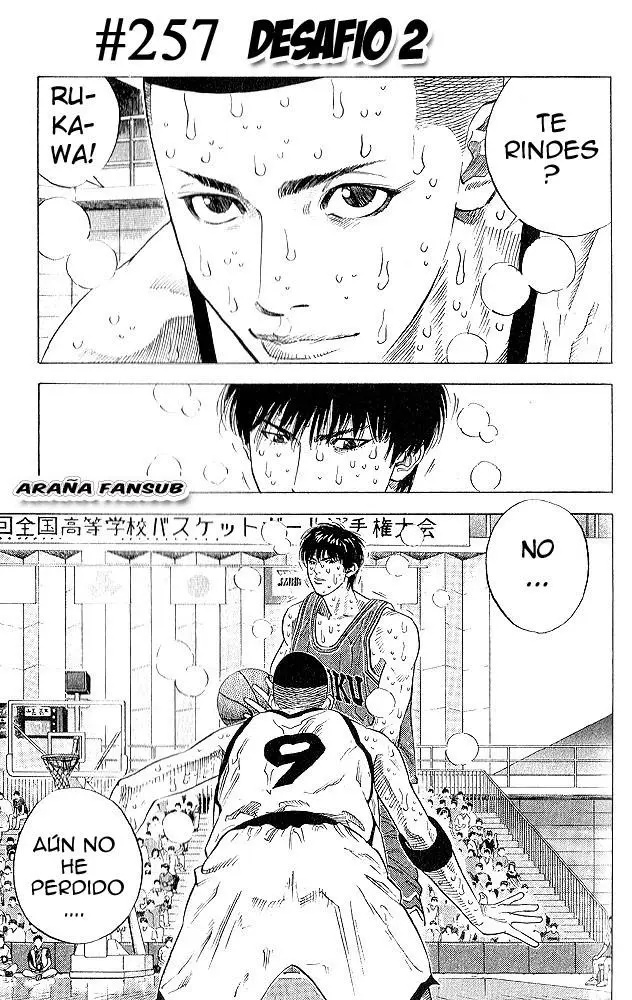 Slam Dunk capítulo 257, página 1