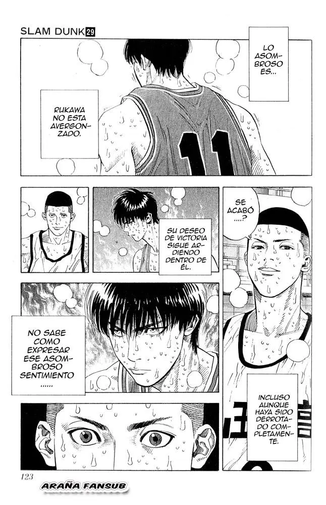Slam Dunk capítulo 257, página 18