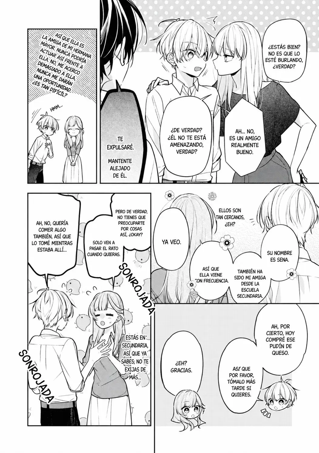 Tomodachi No Nee-chan Ni Koi Shita Hanashi capítulo 2, página 9