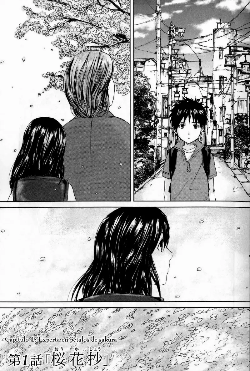 5 Centímetros Por Segundo capítulo 1, página 9