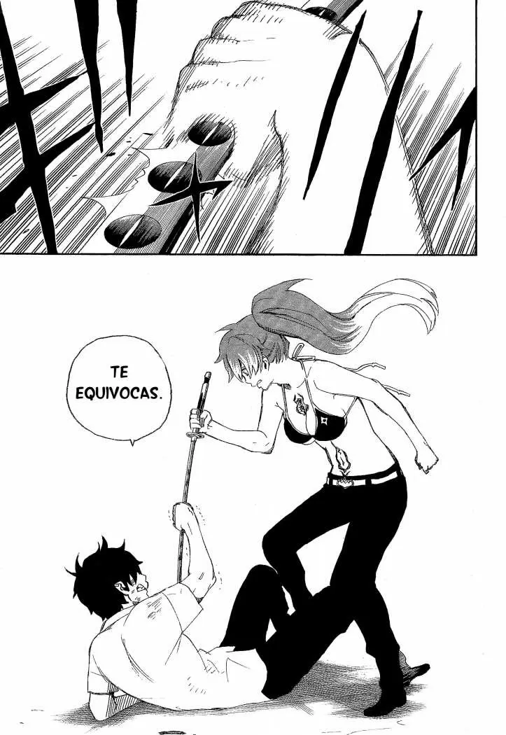 Ao no Exorcist capítulo 10, página 29