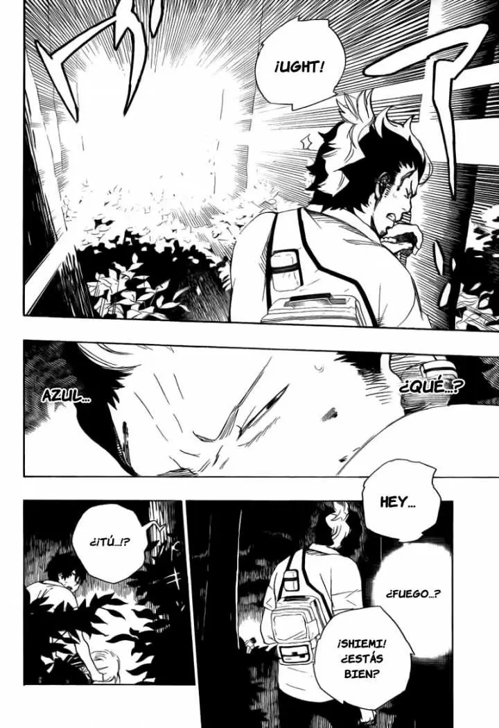 Ao no Exorcist capítulo 12, página 5