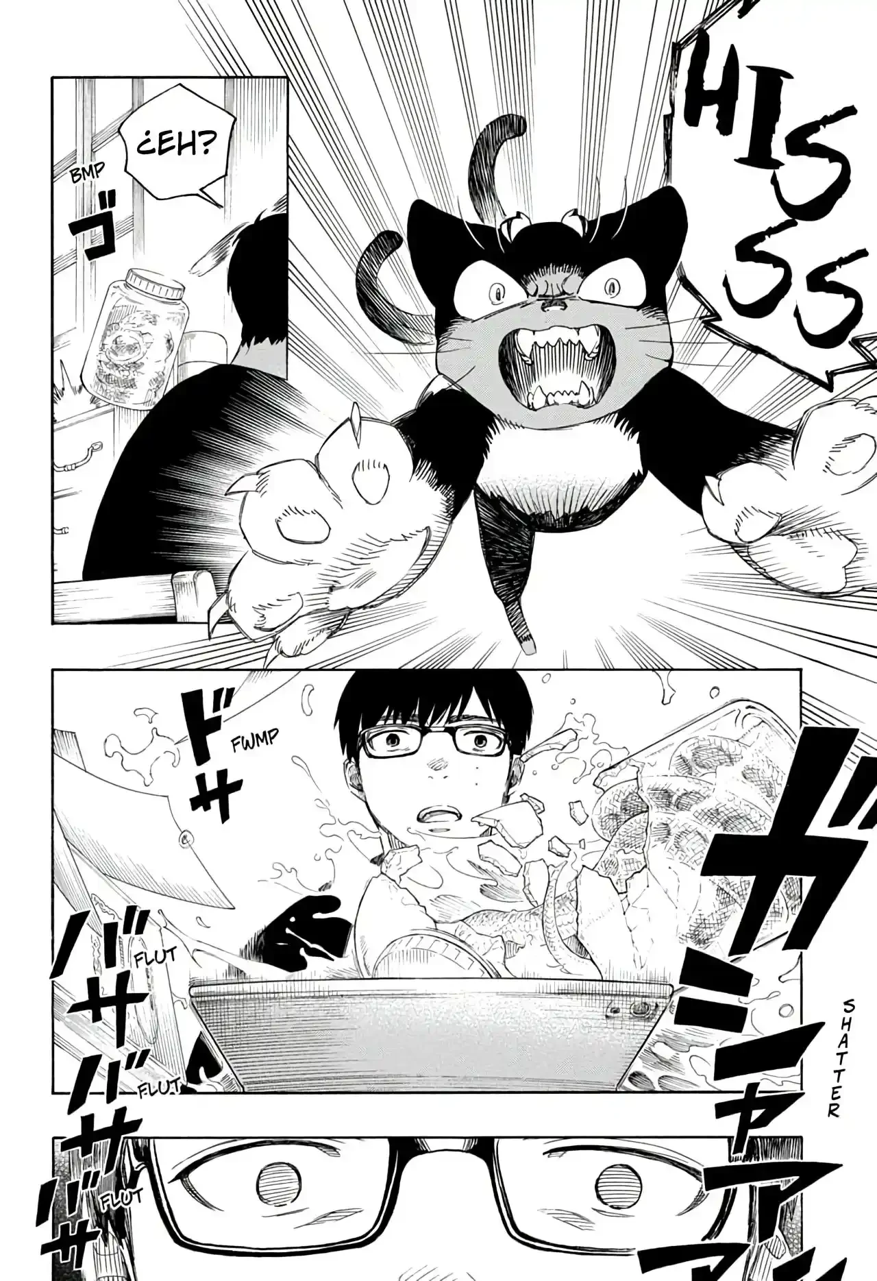 Ao no Exorcist capítulo 135.5, página 12