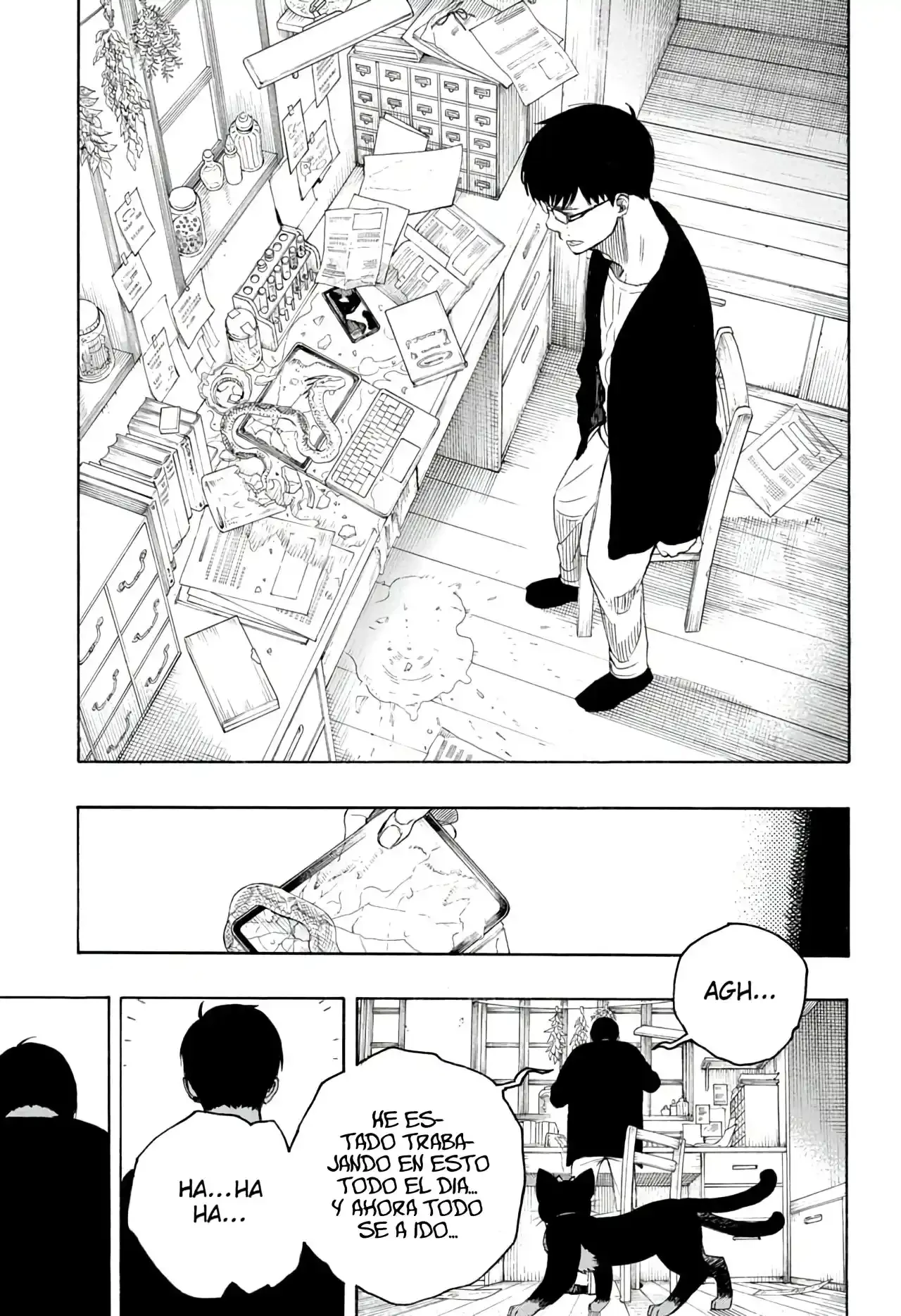 Ao no Exorcist capítulo 135.5, página 13