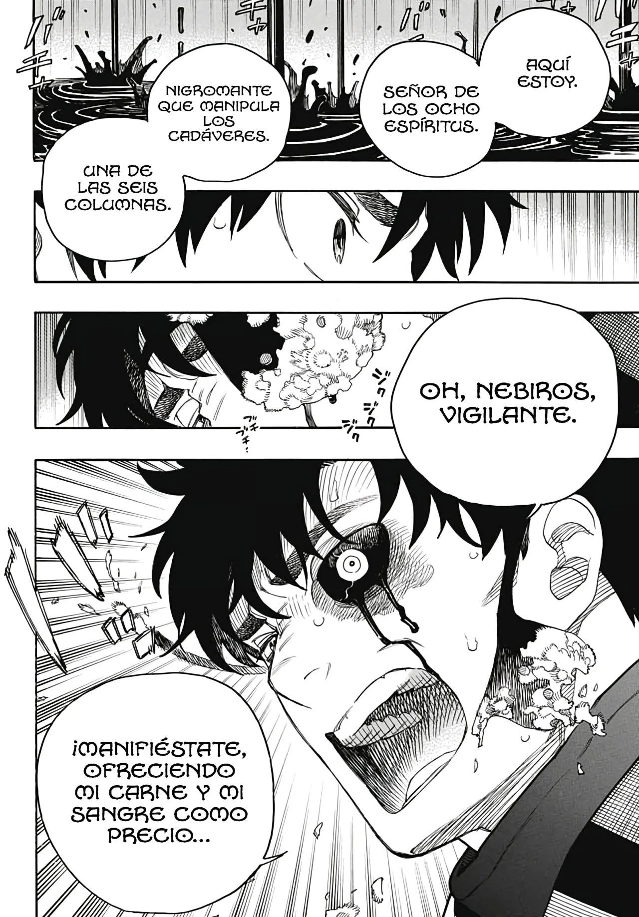 Ao no Exorcist capítulo 165, página 9