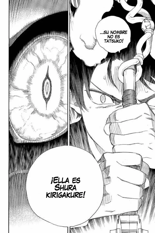 Ao no Exorcist capítulo 79, página 30