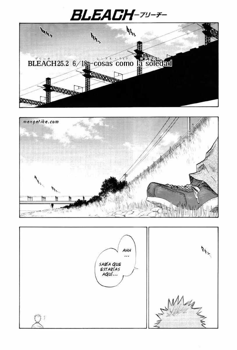 Bleach capítulo 25.5, página 1