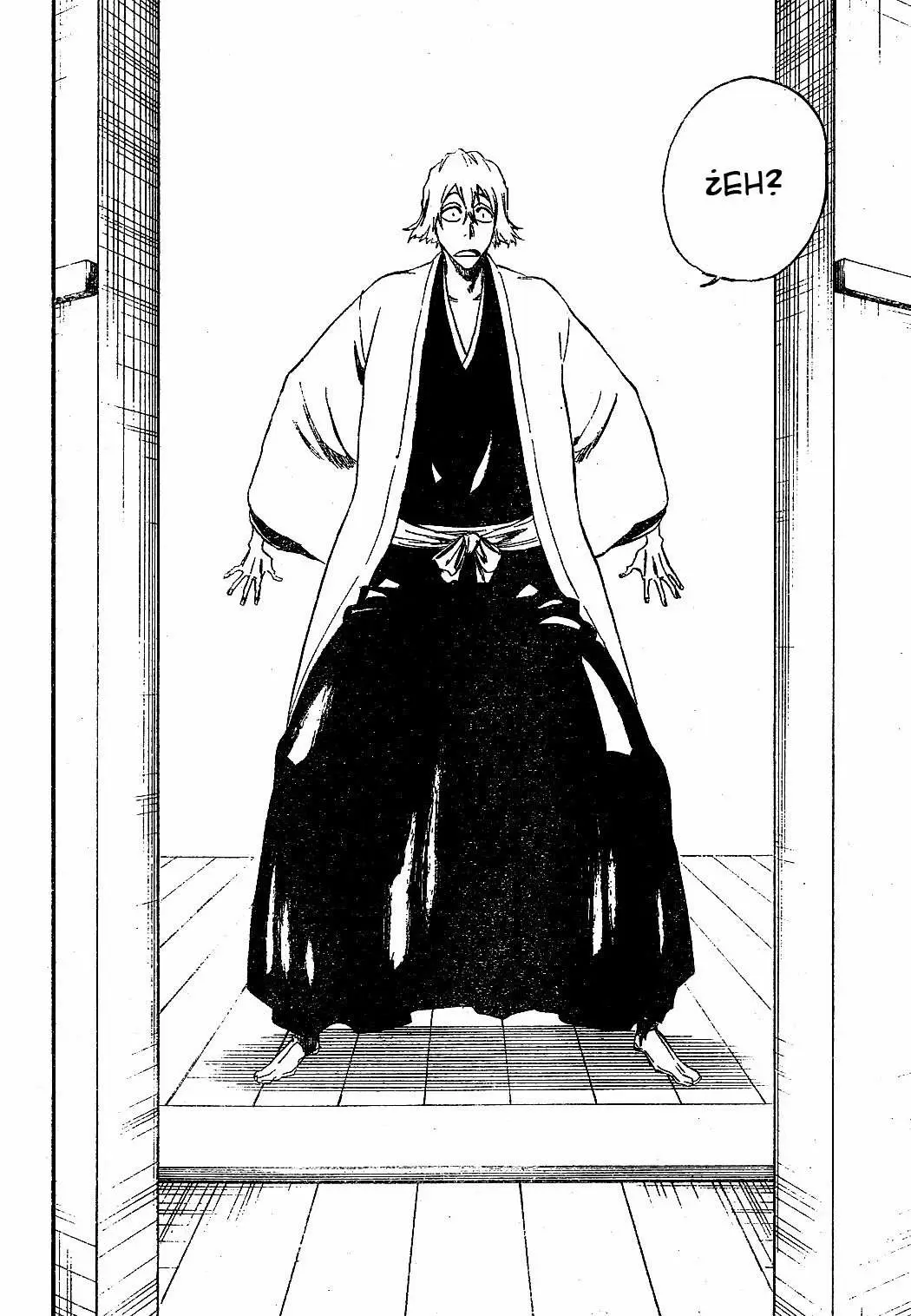 Bleach capítulo 315.1, página 17