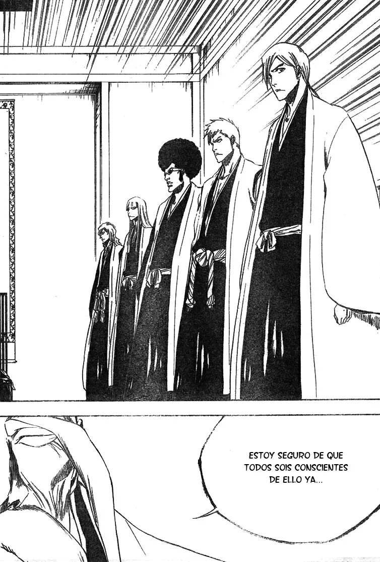 Bleach capítulo 315.2, página 7