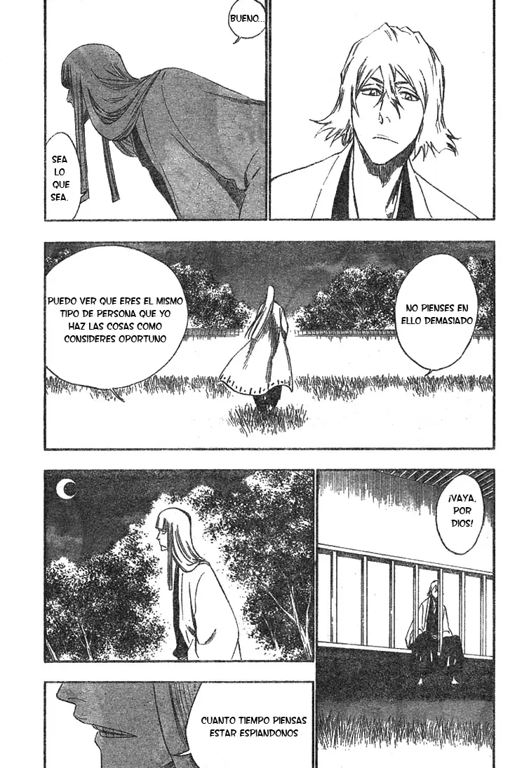 Bleach capítulo 315.2, página 18
