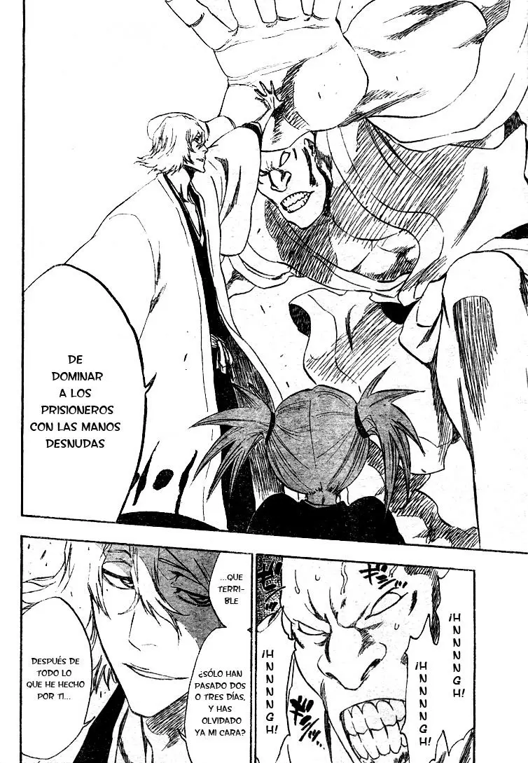 Bleach capítulo 315.3, página 16