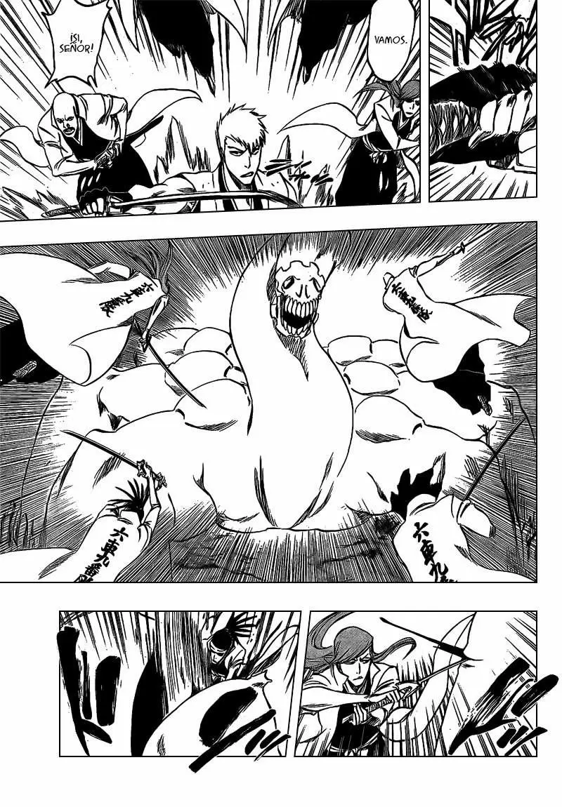 Bleach capítulo 315.5, página 13