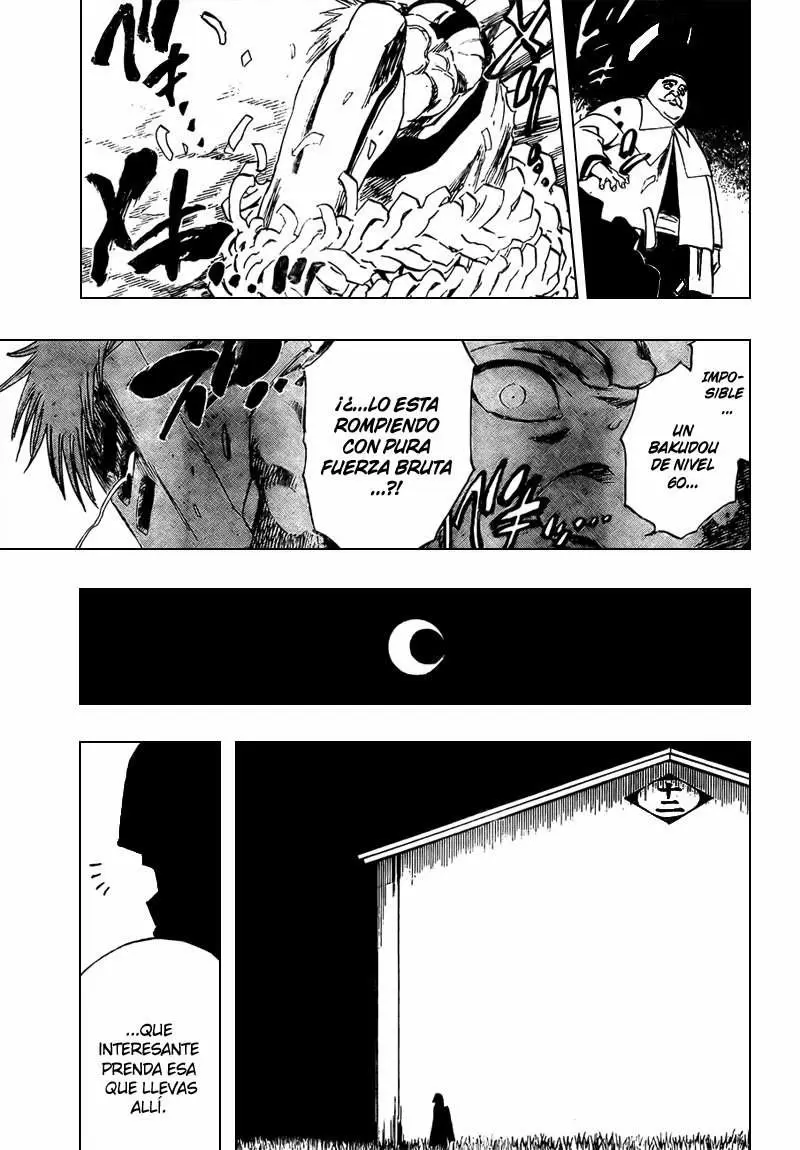 Bleach capítulo 315.8, página 17