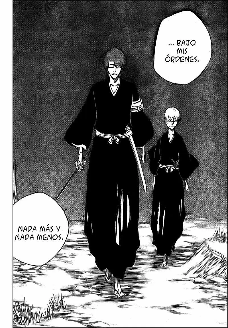 Bleach capítulo 315.9, página 18