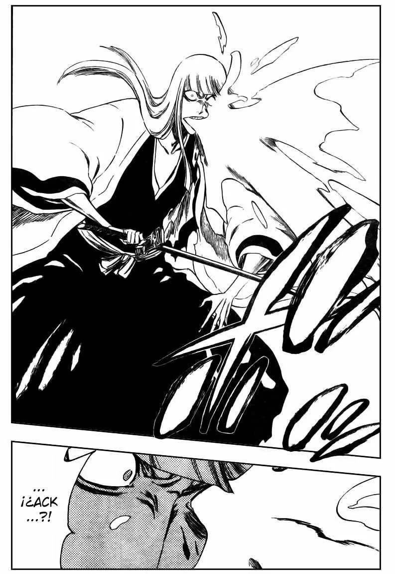 Bleach capítulo 316.1, página 13