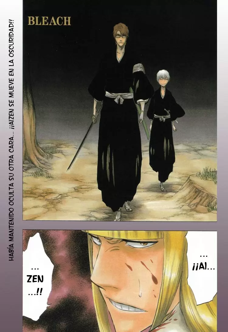 Bleach capítulo 316.1, página 26