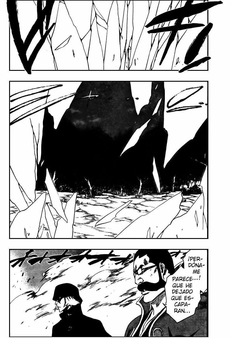 Bleach capítulo 316.2, página 13